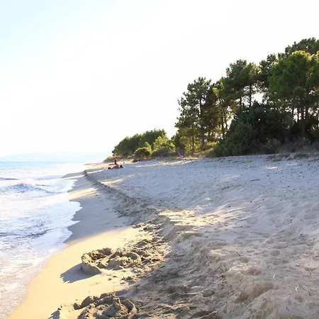 Two-room 150 Meters From The - 4 People - Appartement