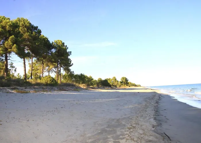 Two-room 150 Meters From The - 4 People - *